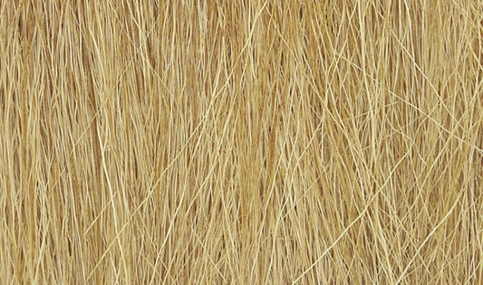 Harvest Gold Field Grass