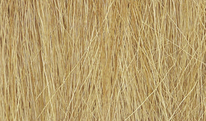 Harvest Gold Field Grass