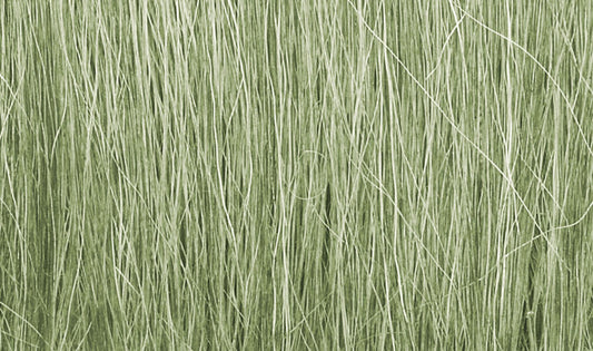 Light Green Field Grass