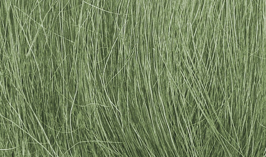 Medium Green Field Grass