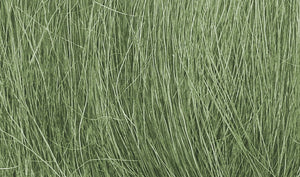 Medium Green Field Grass