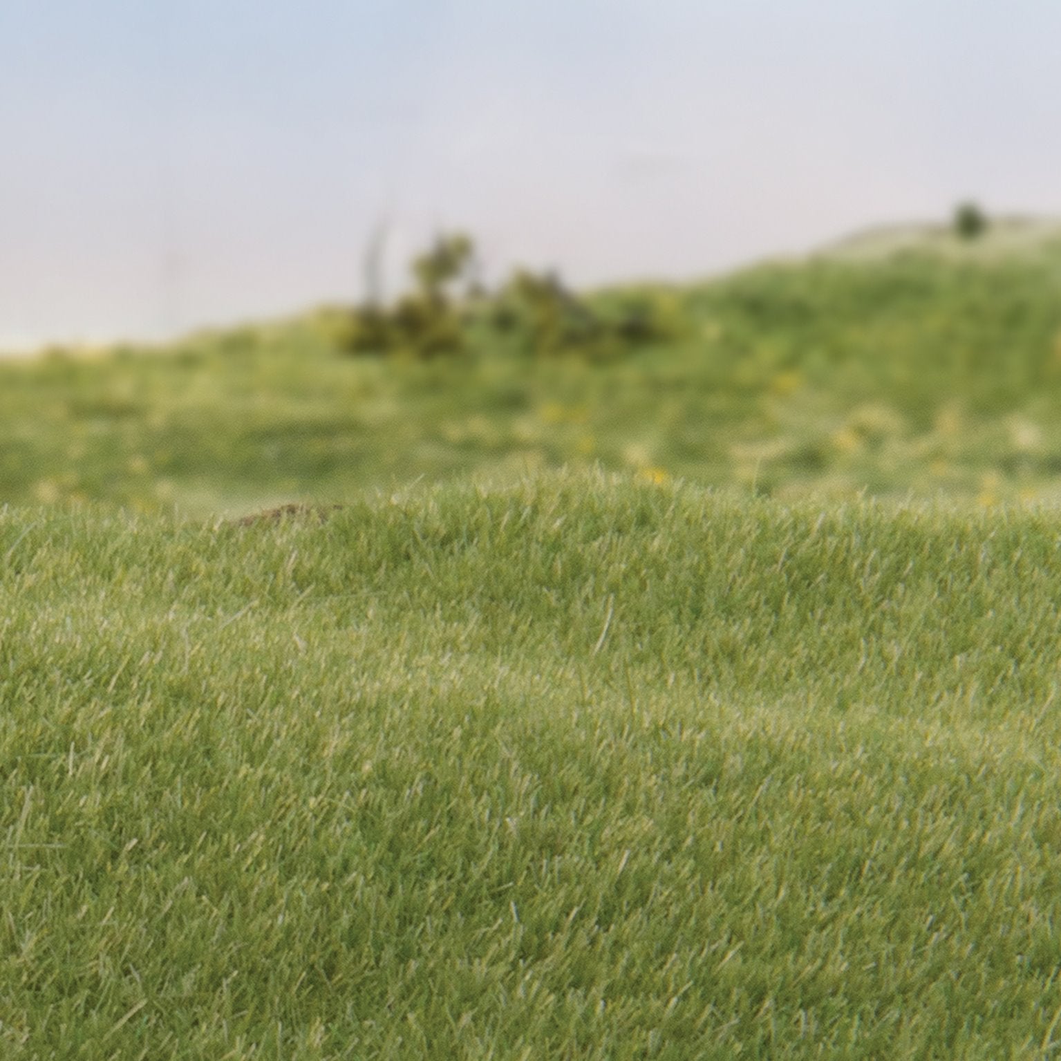 Woodland Scenics FS614 - Static Grass Medium Green 2mm Woodland Scenics FS614 - Static Grass Medium Green 2mm