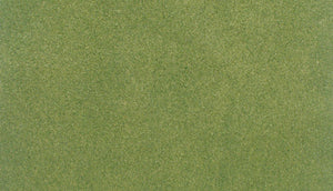 33 x 50in Spring Grass Rg Roll