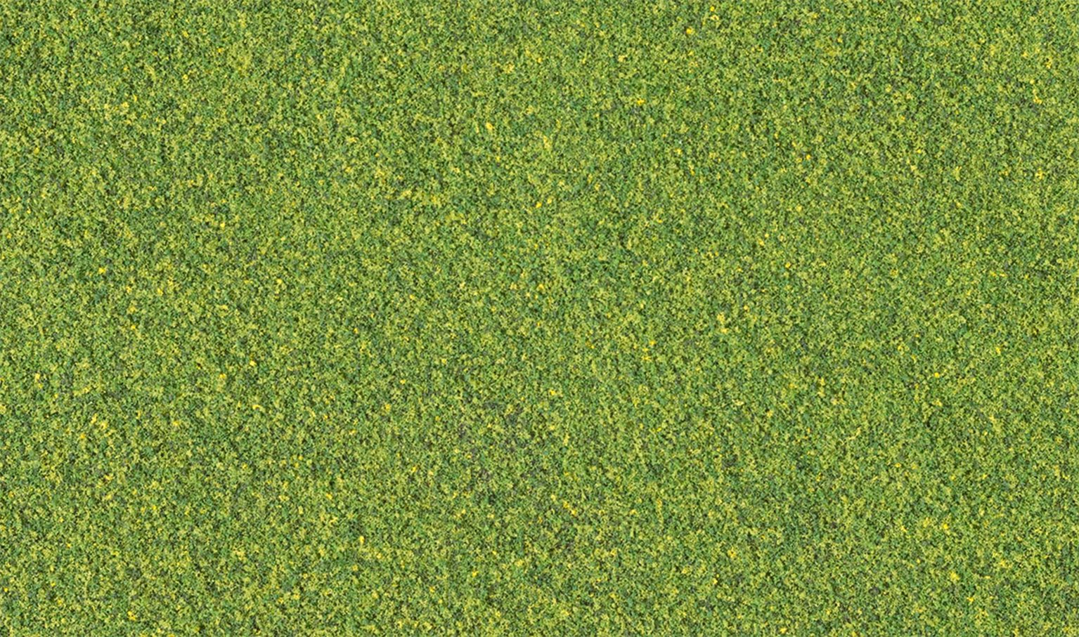 Green Blend Fine Turf