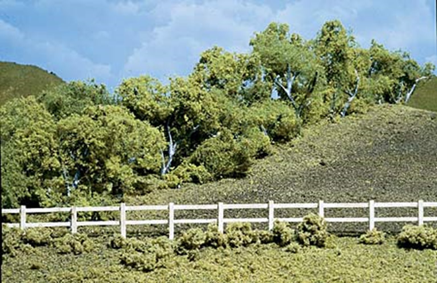 Hedge Row Scene 24 - 30 inch