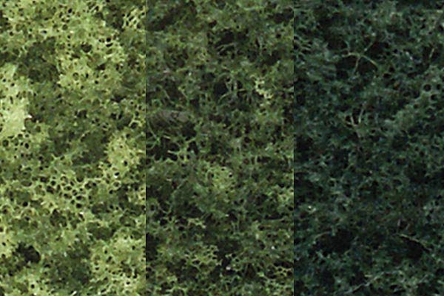 Woodland Scenics WTR1102 TR1102 Mix Deciduous Tree Kit 3 - 5 – Rails