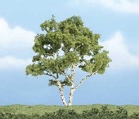 Premium Birch Tree 3 7/8 inch