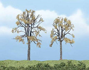 Premium Dead Elm Trees 2 ¼ - 3 ¼ inch (Pack of 2)