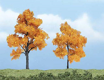 Premium Fall Maple Trees 2 3/8 - 3 inch (Pack of 2)