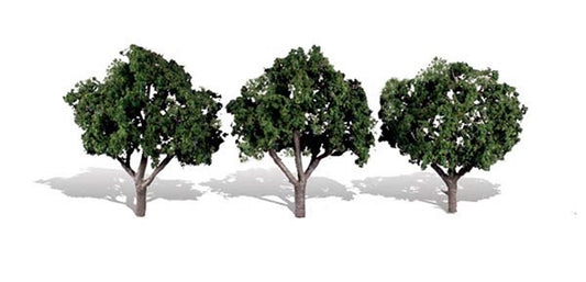 Cool Shade Trees 3 - 4 inch (Pack of 3)