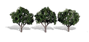Cool Shade Trees 3 - 4 inch (Pack of 3)