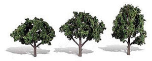 Cool Shade Trees 4 - 5 inch (Pack of 3)