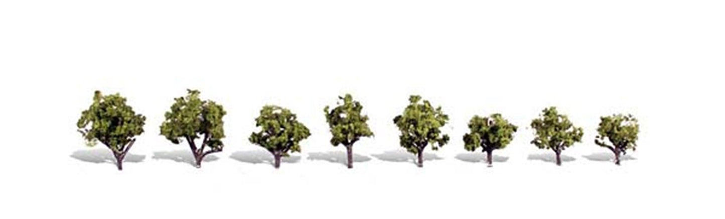 Early Light Trees ¾ - 1 ¼ inch (Pack of 8)