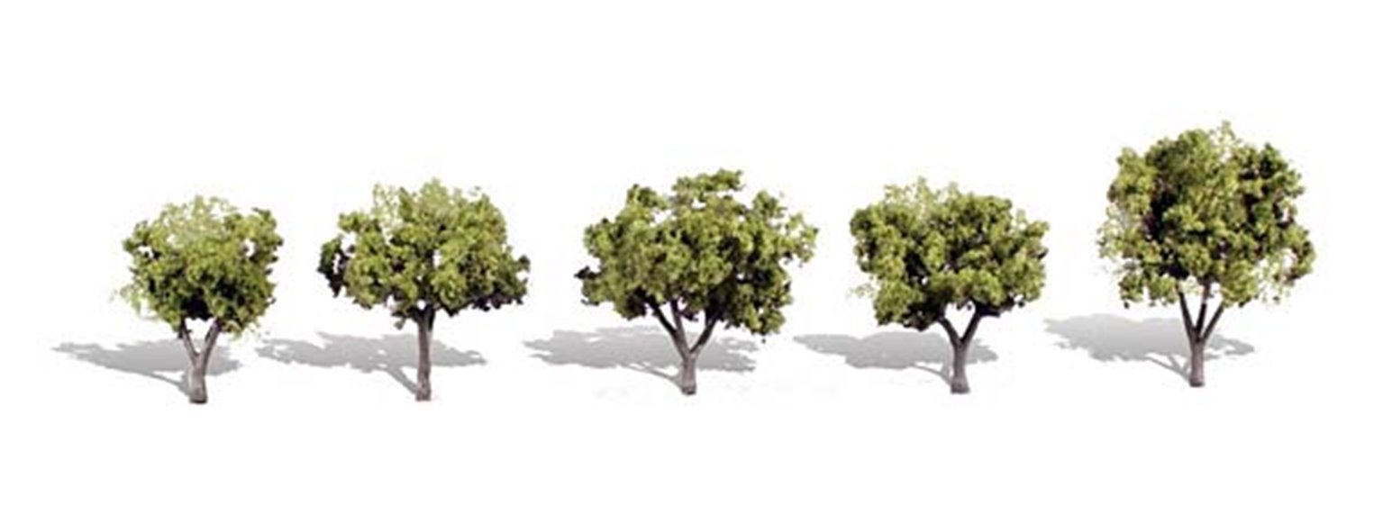 Early Light Trees 1 ¼ - 2 inch (Pack of 5)