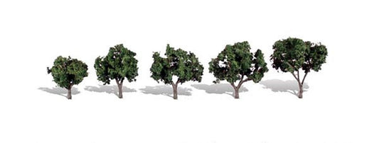 Cool Shade Trees 1 ¼ - 2 inch (Pack of 5)