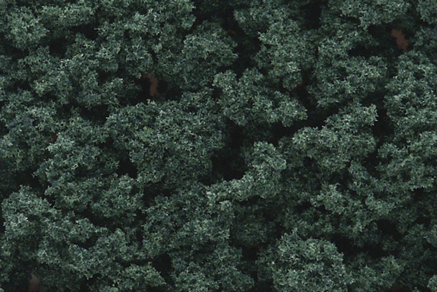 Dark Green Bushes