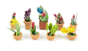 Flowers In Pots Set 1 (9)