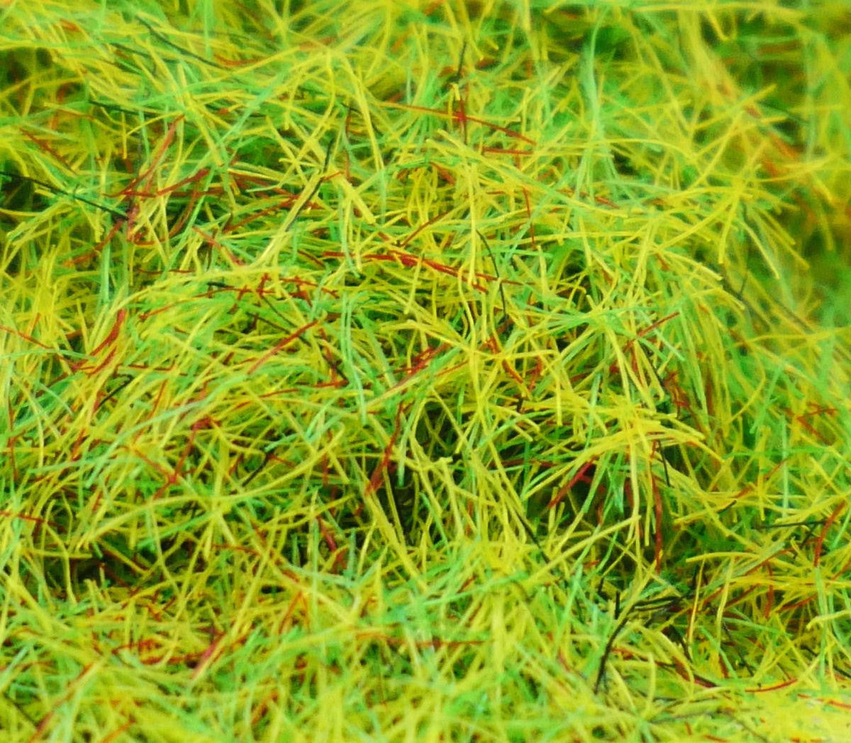 Summer Meadow 2.5mm Scatter Grass 30g (GM171)