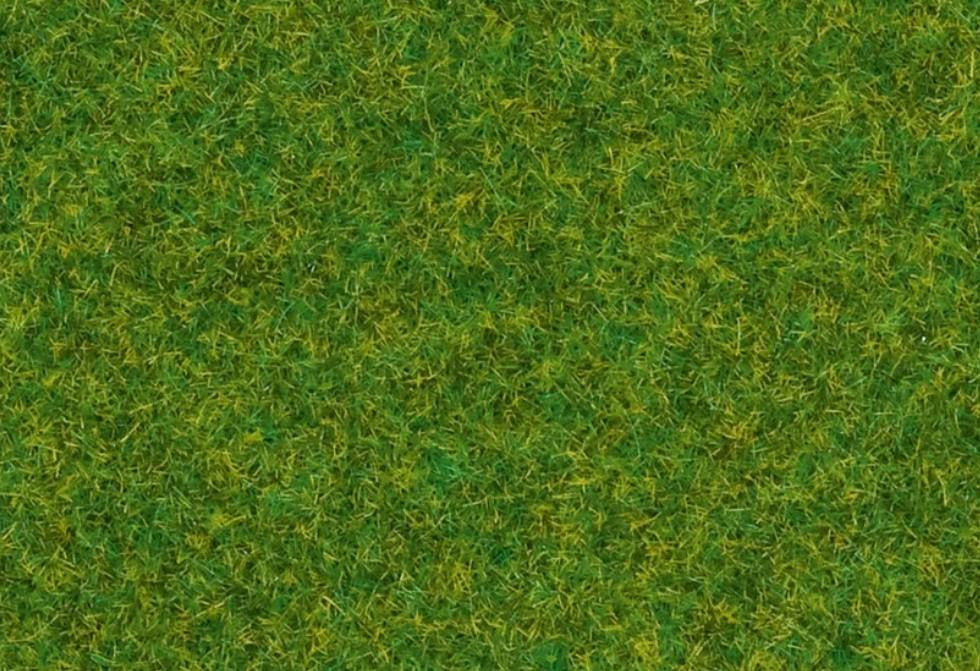 Ornamental Lawn 2.5mm Scatter Grass 30g