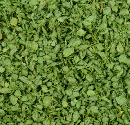 Scenic Leaves - Mid Green (50g)