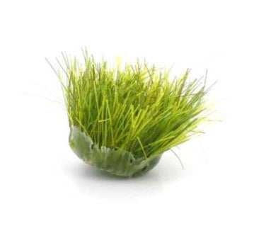 Meadow Green 6mm Grass Tufts (42)