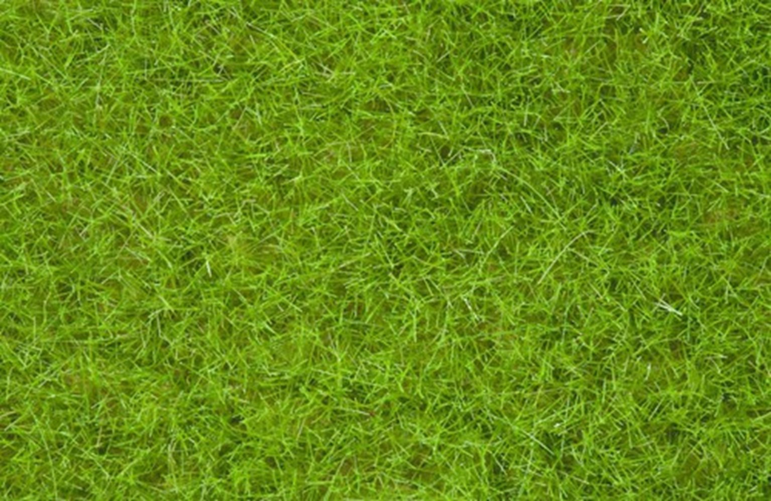 Light Green Wild Grass 6mm (100g)