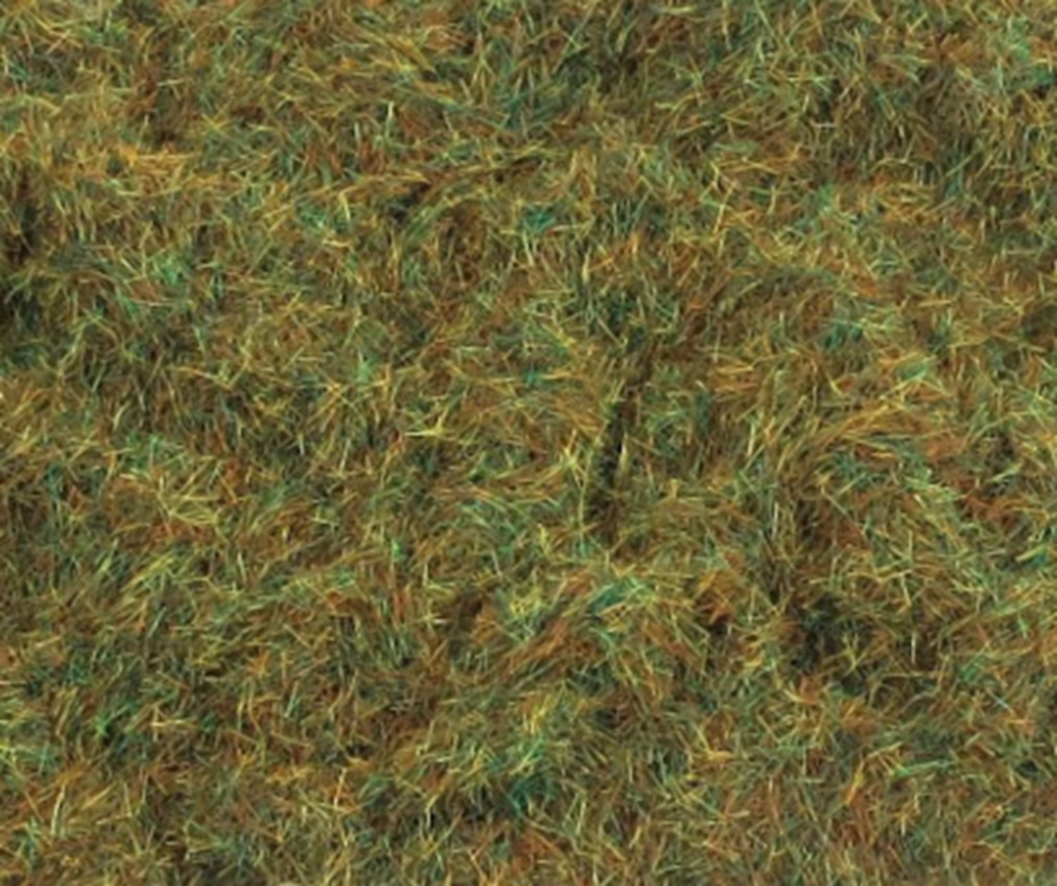 2mm Autumn Grass