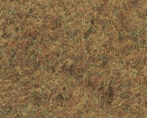 2mm Winter Grass