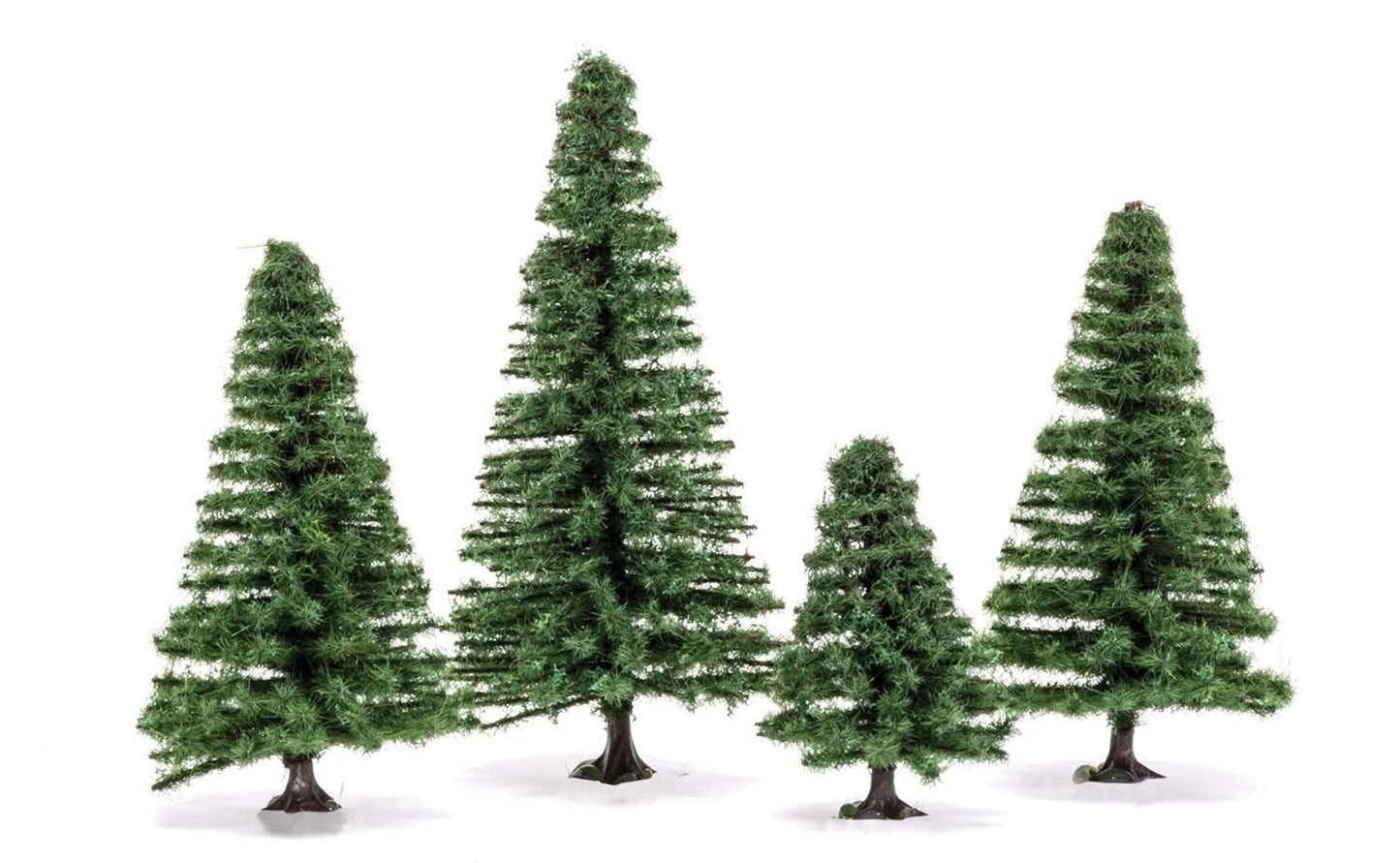 Small Fir Trees