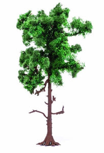 Medium Pine Tree