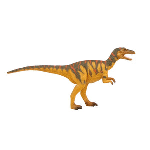 Natural History Museum Megalosaurus